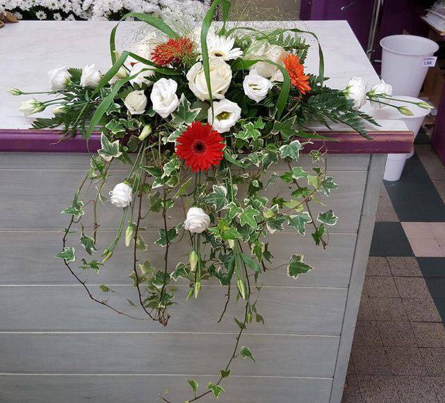 plantes d'Intérieur à Bagnères-de-Bigorre